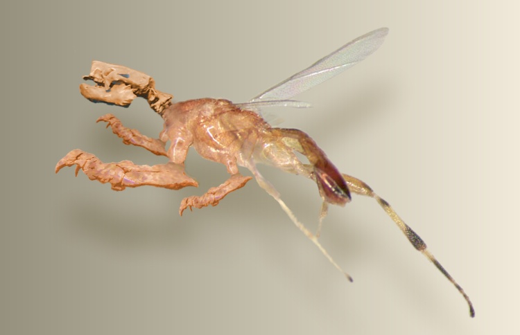 Design Photoshop par HotGod pour DesignCrowd (Community Contests) | Design #9096362