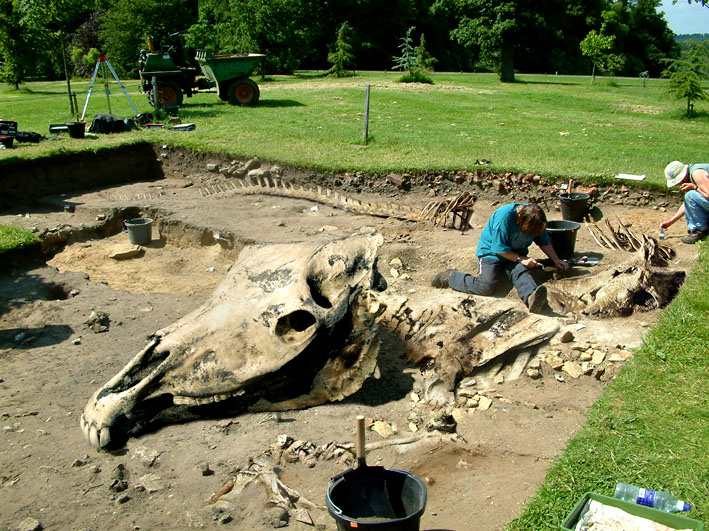 Diseño de Photoshop por Norrit para DesignCrowd (Community Contests) | Diseño #9096332