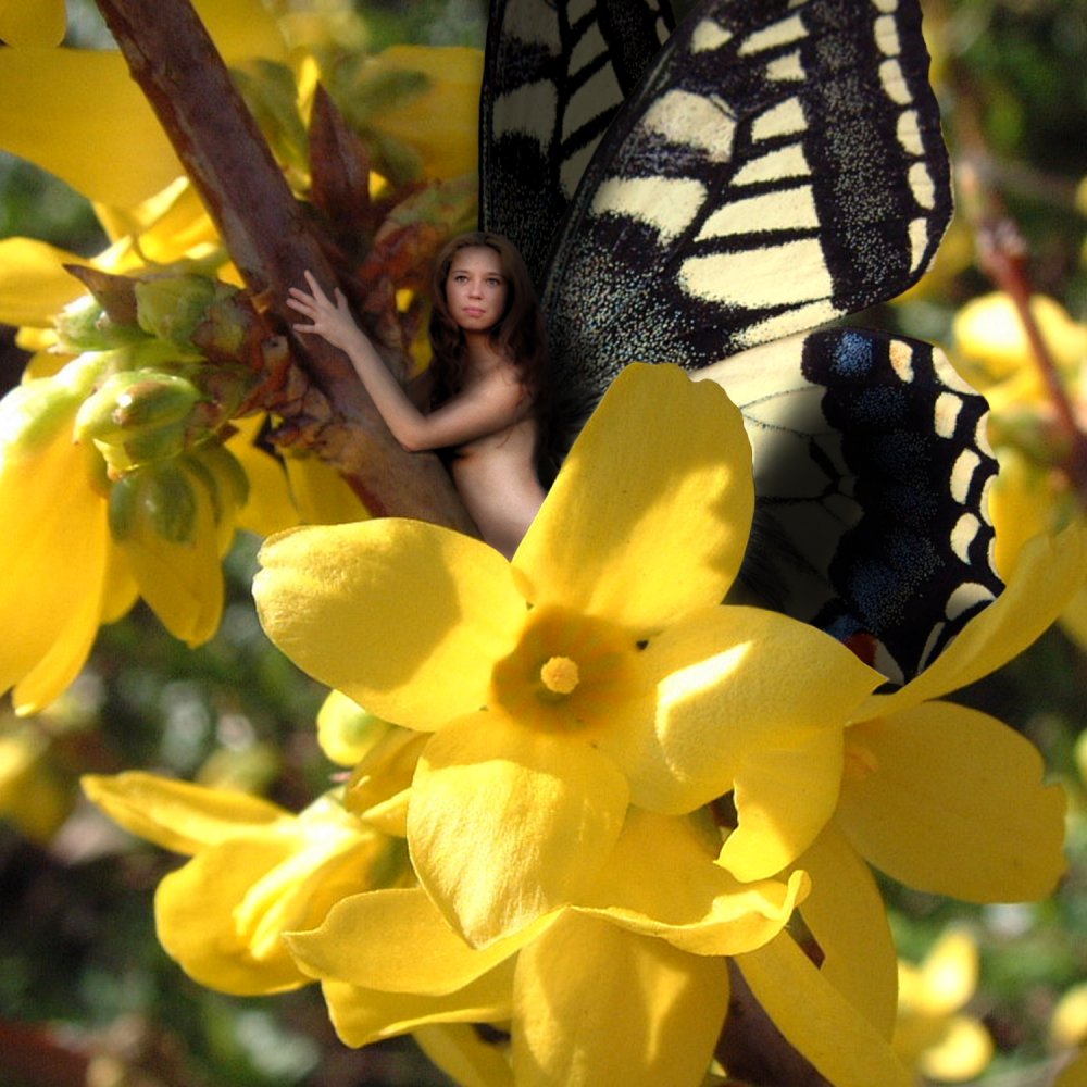 Photoshop Design by yamaneko for DesignCrowd (Community Contests) | Design #9096409