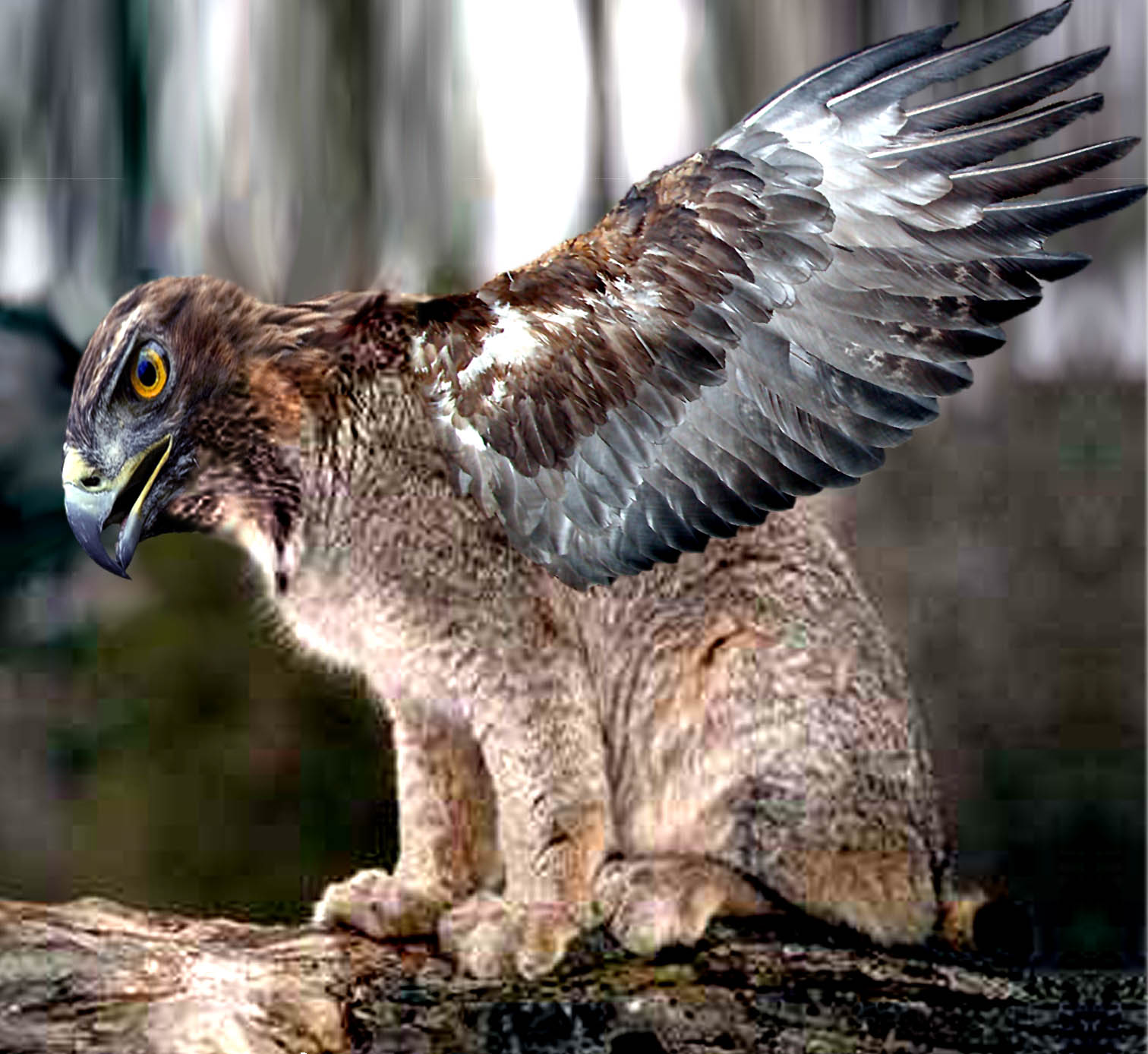 Diseño de Photoshop por liquidself para DesignCrowd (Community Contests) | Diseño #9096355