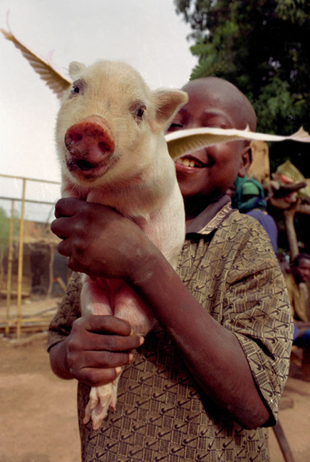 Design Photoshop par ogri2003 pour DesignCrowd (Community Contests) | Design #9096326