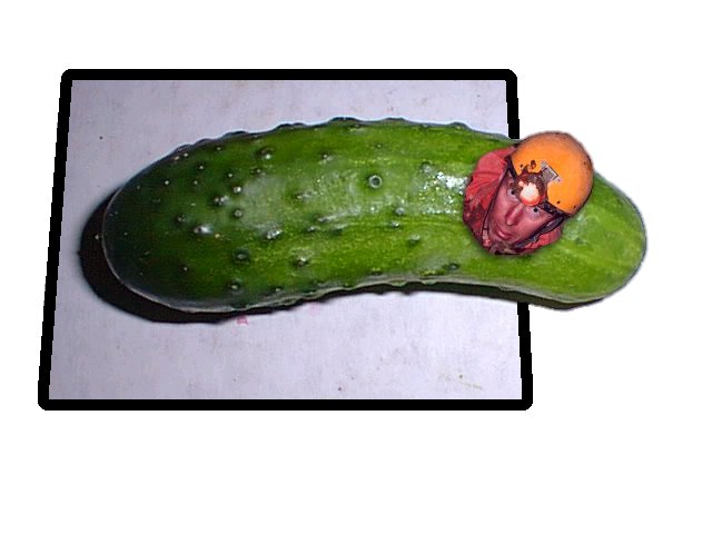 Photoshop Design by cheetahsgirl2003 for DesignCrowd (Community Contests) | Design #9114616