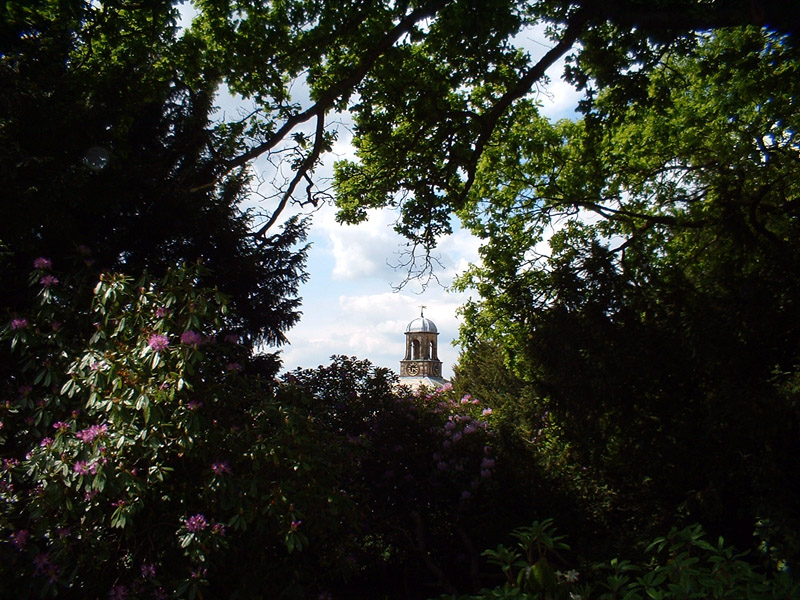 Fotografía por spoofmedia para DesignCrowd (Community Contests) | Diseño #9115381