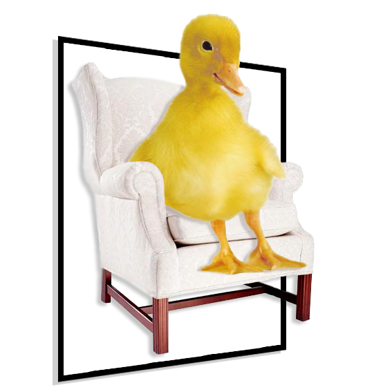 Photoshop Design by sofizz for DesignCrowd (Community Contests) | Design #9114629