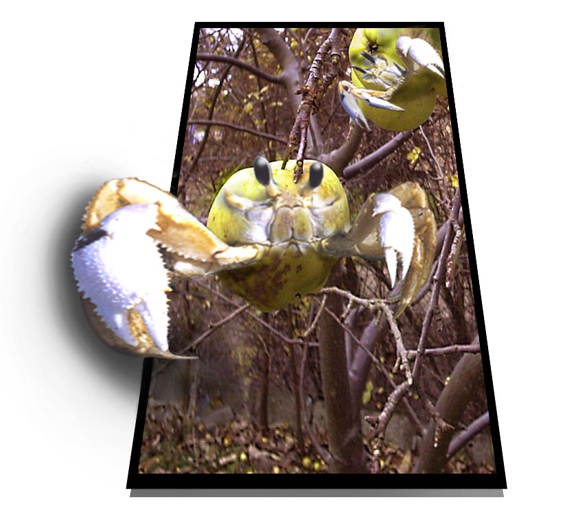 Diseño de Photoshop por cristielayne para DesignCrowd (Community Contests) | Diseño #9114664