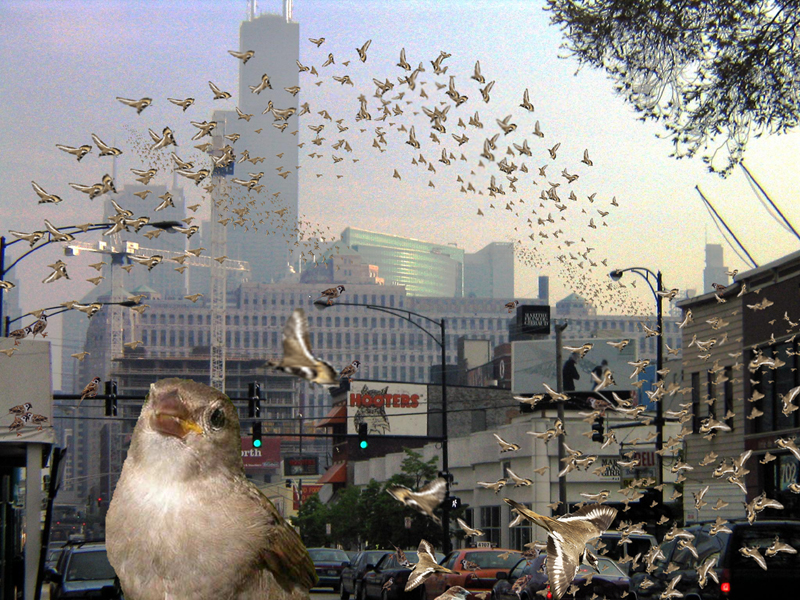 Photoshop-Design von MagicDak für DesignCrowd (Community Contests) | Design #9111806
