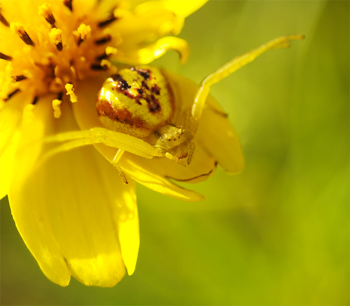 Fotografía por londubh para DesignCrowd (Community Contests) | Diseño #9115050