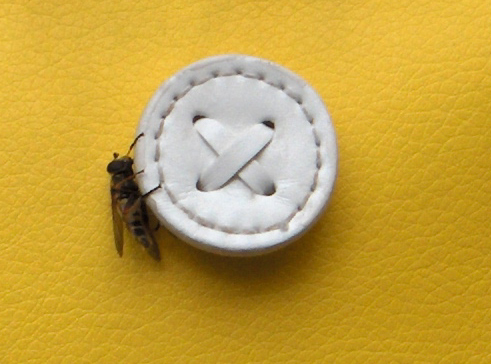 Photography by Samogitan for DesignCrowd (Community Contests) | Design #9115031