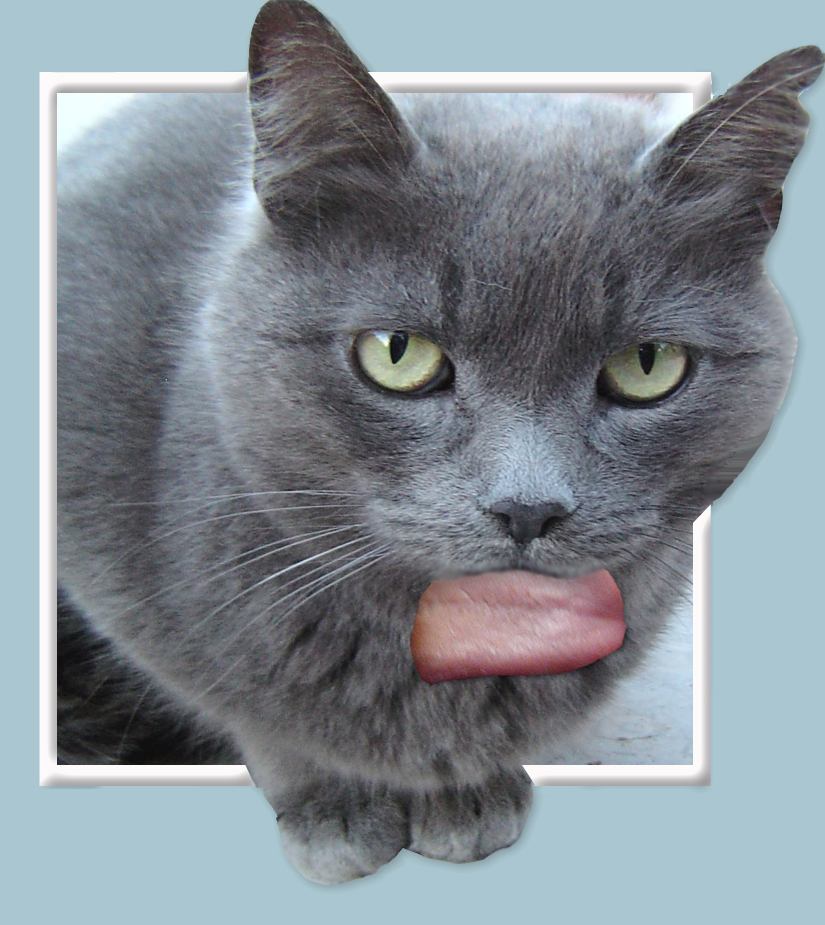 Diseño de Photoshop por Howlingwind para DesignCrowd (Community Contests) | Diseño #9114795