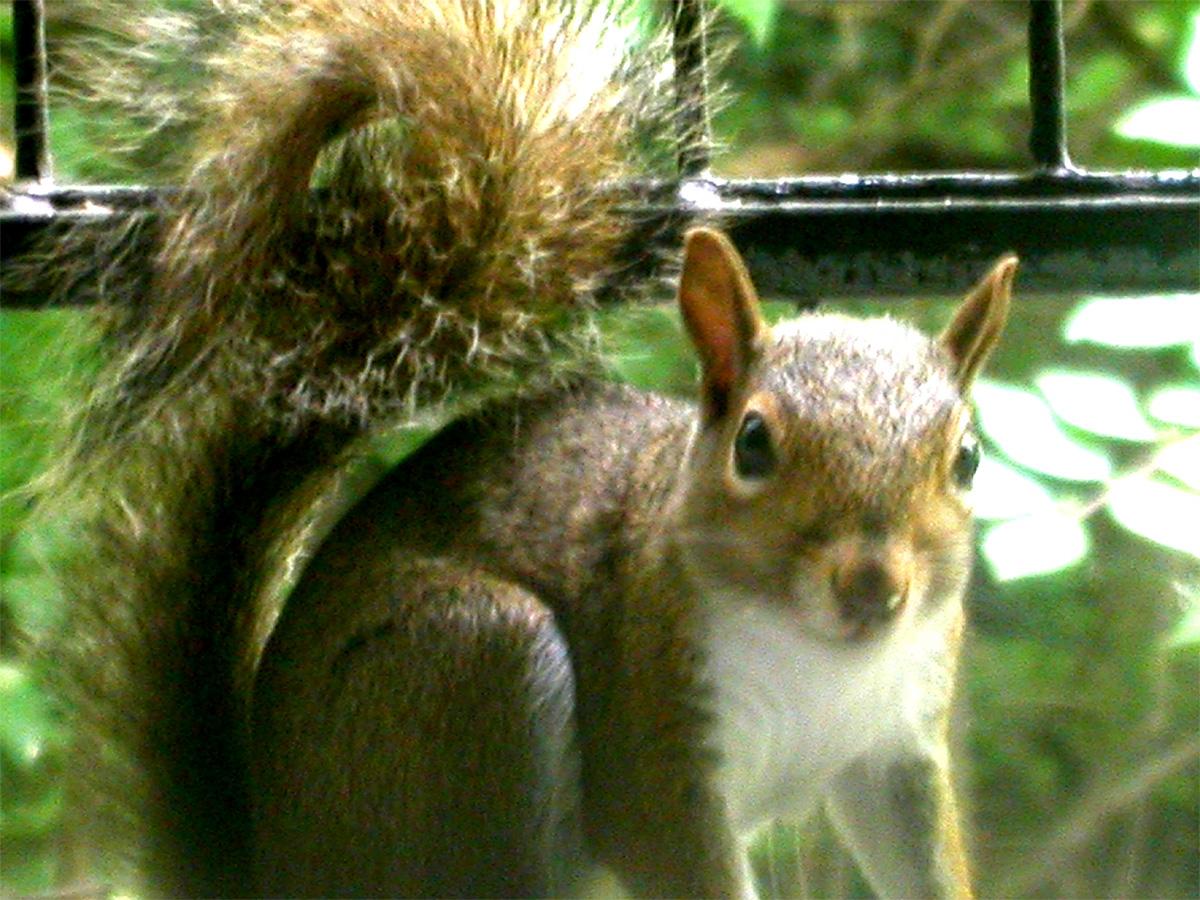 Photography by Crystal211 for DesignCrowd (Community Contests) | Design #9115535