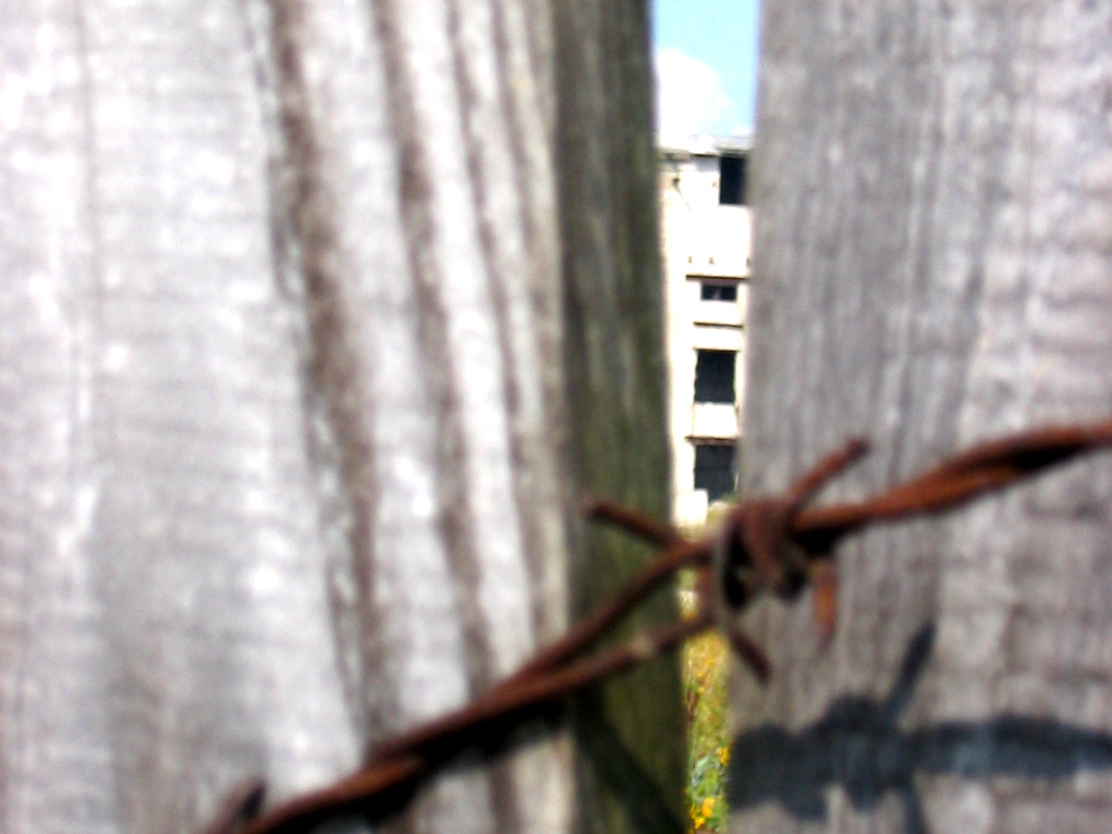 Photography by kirils for DesignCrowd (Community Contests) | Design #9115466