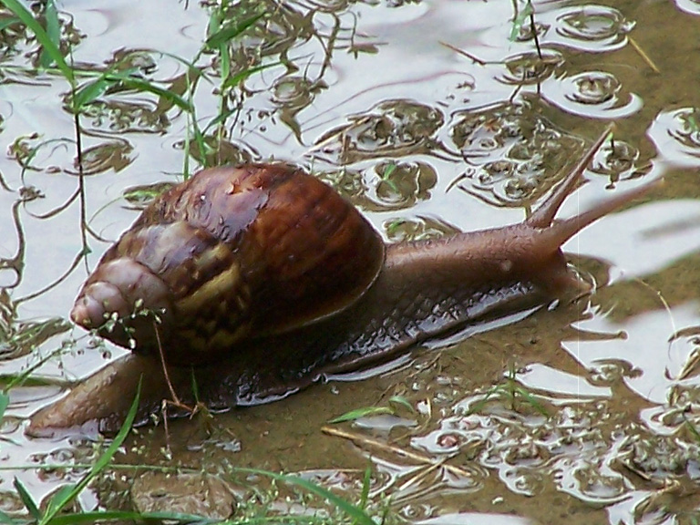 Fotografía por vgmn1956 para DesignCrowd (Community Contests) | Diseño #9115020