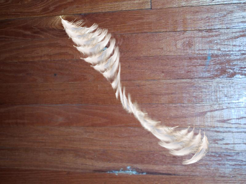 Photoshop-Design von EQArchangel für DesignCrowd (Community Contests) | Design #9111085