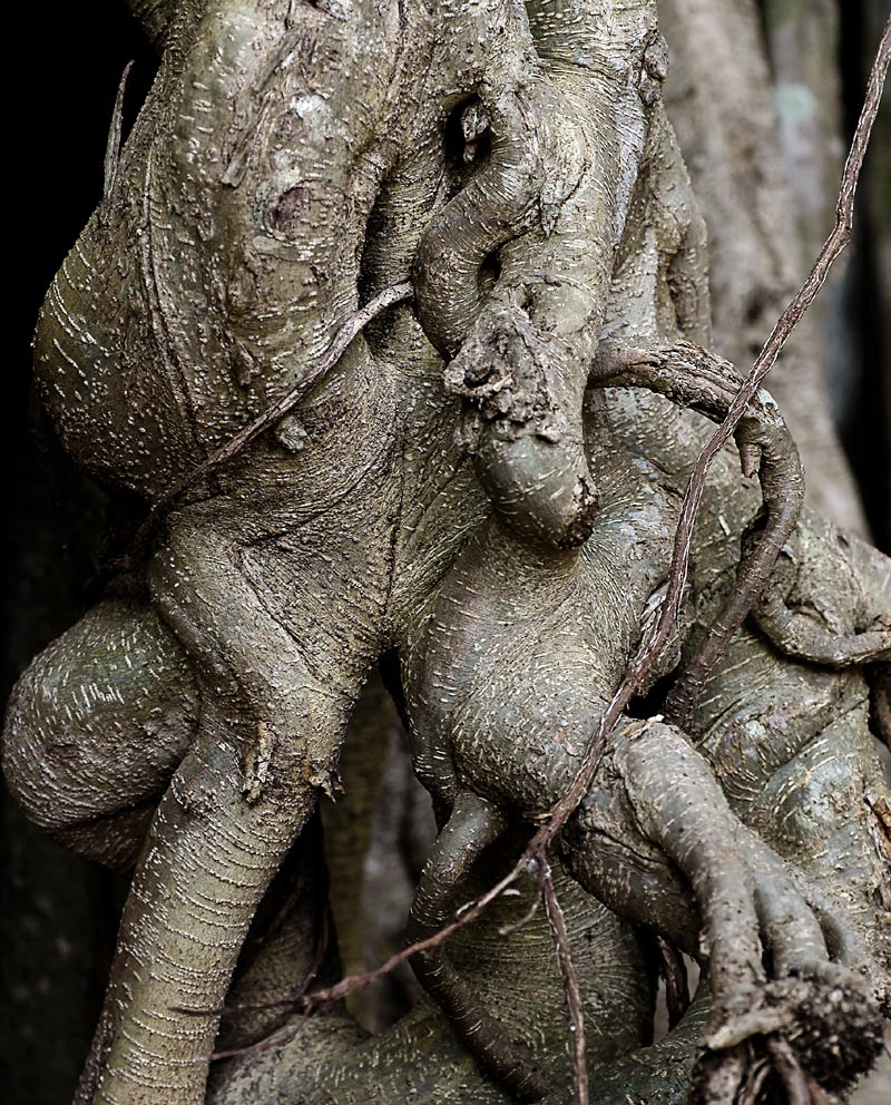 Fotografía por 1Mast1 para DesignCrowd (Community Contests) | Diseño #9115091