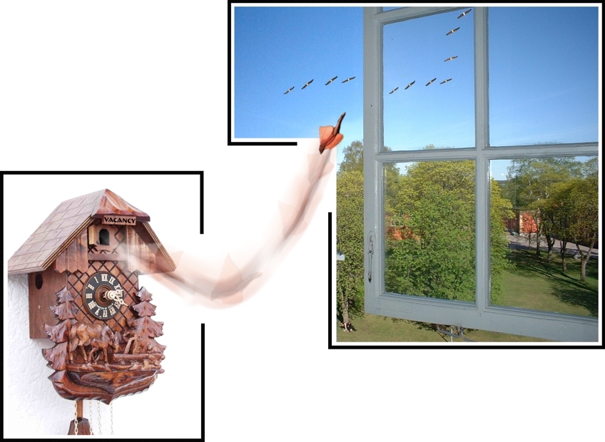 Photoshop Design by vytcheslav for DesignCrowd (Community Contests) | Design #9111112