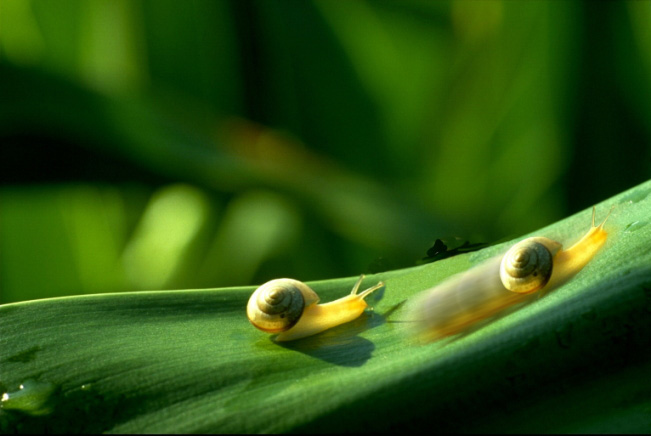 Photoshop Design by lna096 for DesignCrowd (Community Contests) | Design #9111163