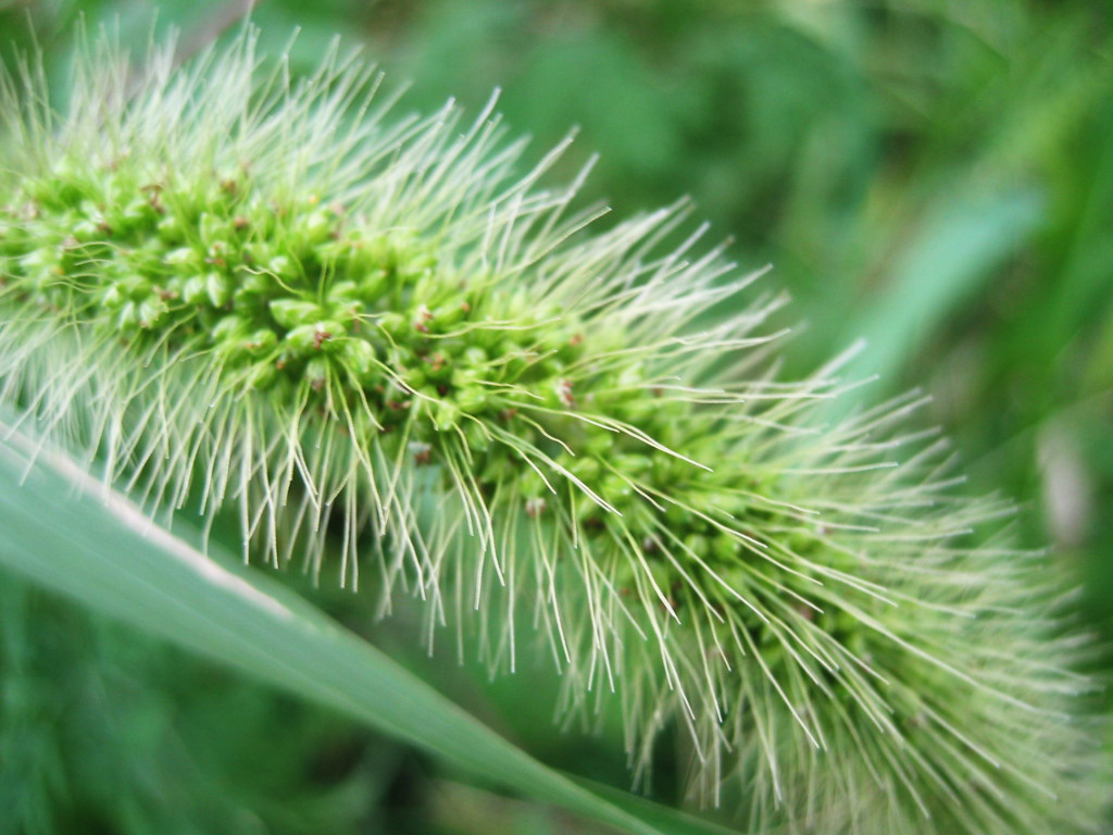 Photographie par PulsisX pour DesignCrowd (Community Contests) | Design #9115295