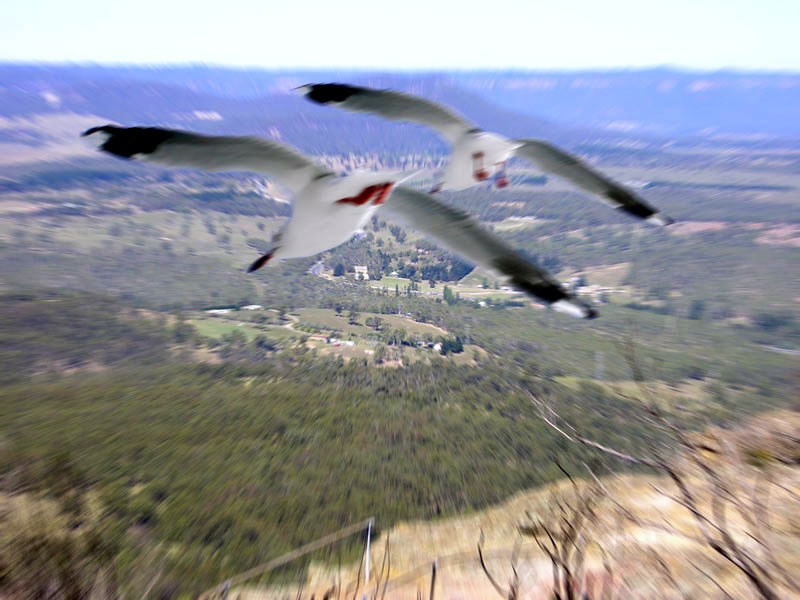 Photoshop-Design von KEOGHA für DesignCrowd (Community Contests) | Design #9111111