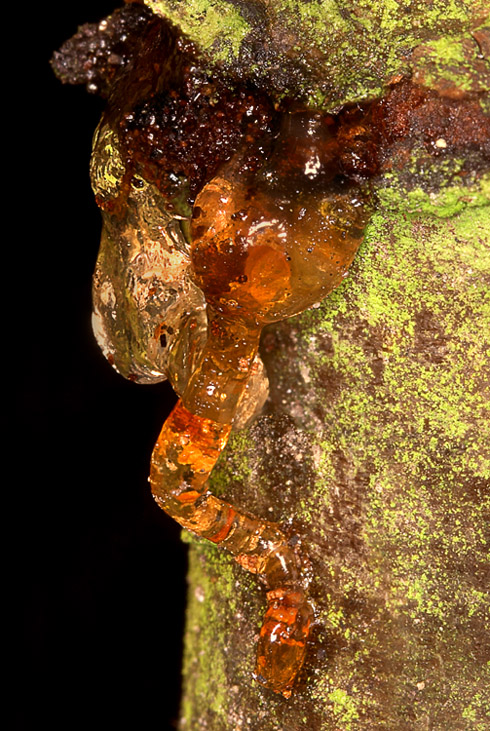 Photography by branie for DesignCrowd (Community Contests) | Design #9115137