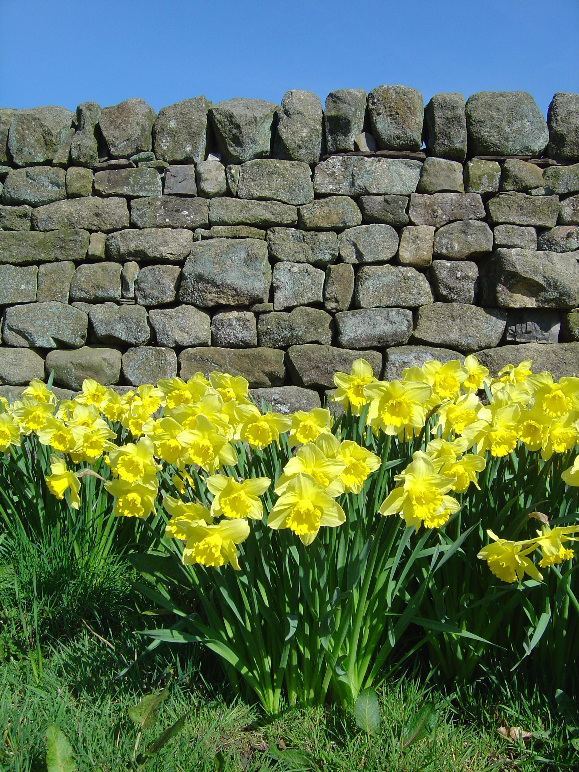 Fotografie von treebloke für DesignCrowd (Community Contests) | Design #9115597