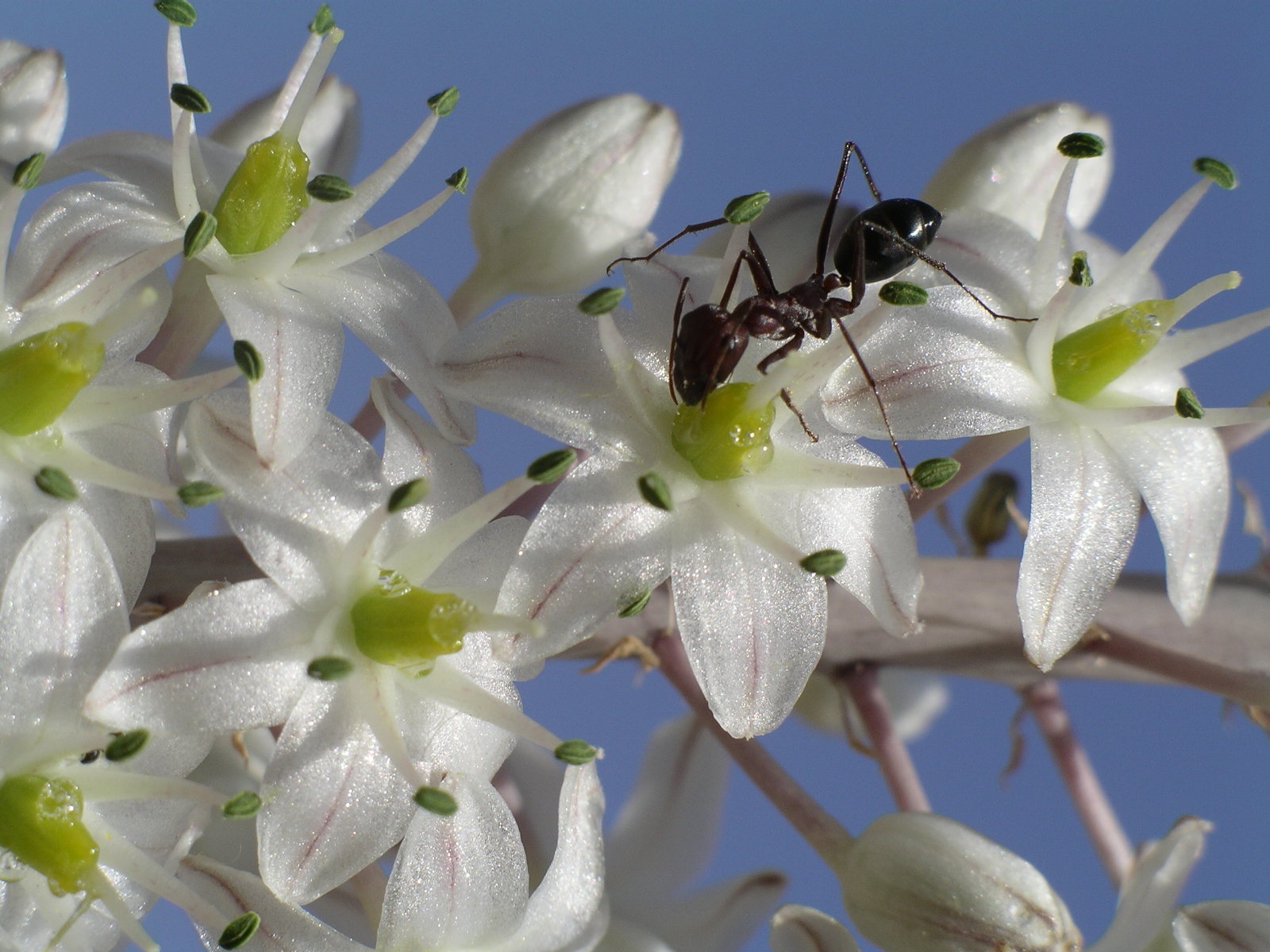 Photography by susv for DesignCrowd (Community Contests) | Design #9115131