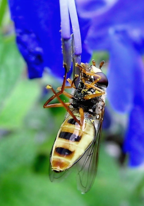 Photographie par blendedfamily pour DesignCrowd (Community Contests) | Design #9115223