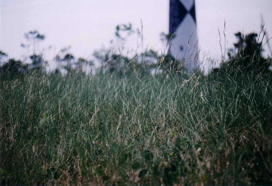 Fotografie von Barnaclese für DesignCrowd (Community Contests) | Design #9115579