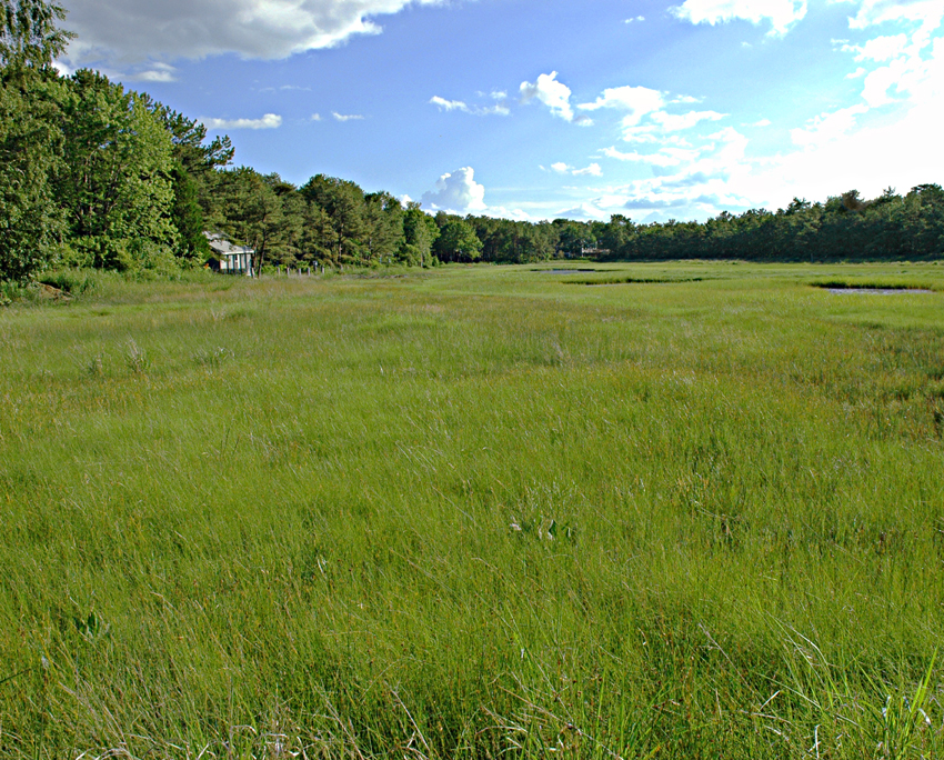 Photography by squeakers for DesignCrowd (Community Contests) | Design #9115591