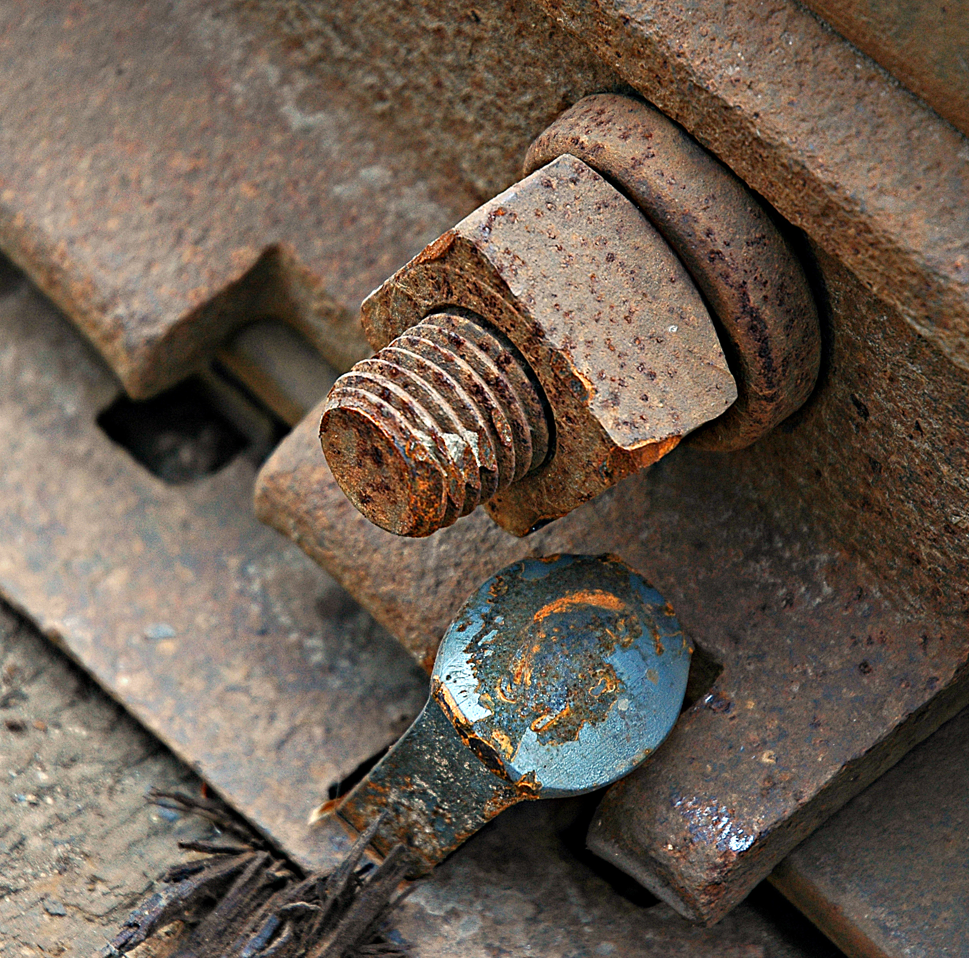 Photography by squeakers for DesignCrowd (Community Contests) | Design #9115263