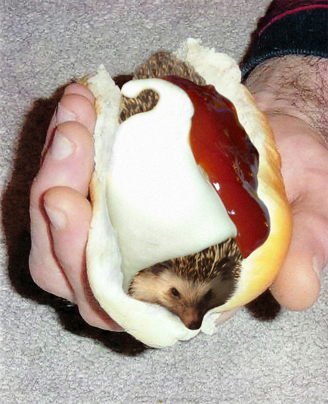 Diseño de Photoshop por andreavassallo para DesignCrowd (Community Contests) | Diseño #9114878