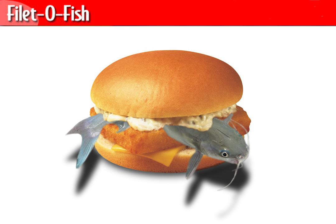 Photoshop Design by Papilapu for DesignCrowd (Community Contests) | Design #9114924