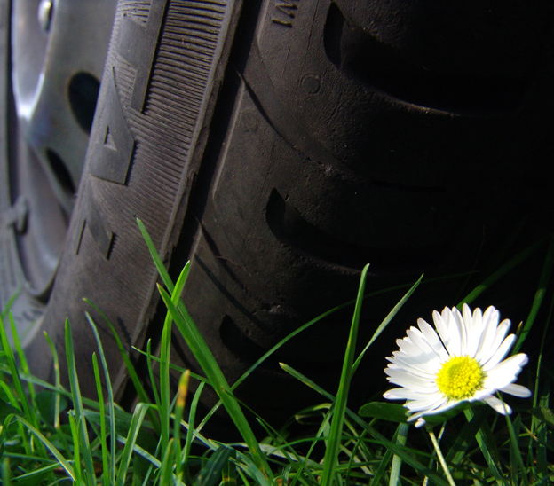 Photographie par Dziedzic pour DesignCrowd (Community Contests) | Design #9115593