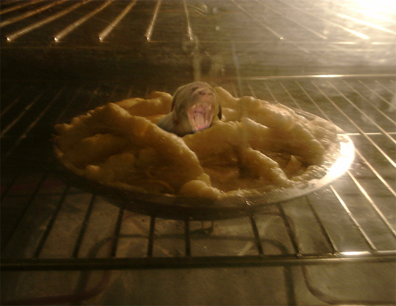 Photoshop-Design von dellville für DesignCrowd (Community Contests) | Design #9114964