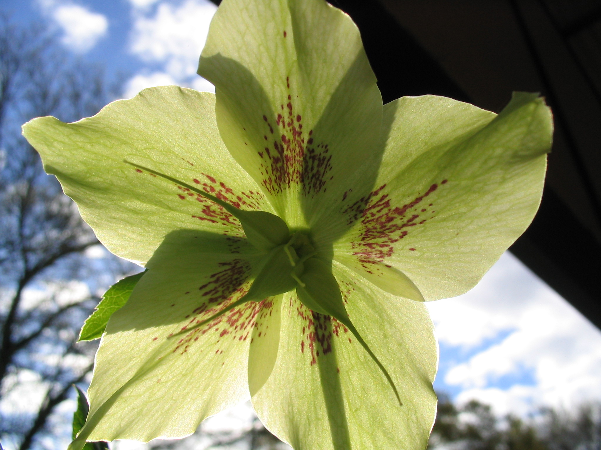 Photography by redead for DesignCrowd (Community Contests) | Design #9115632