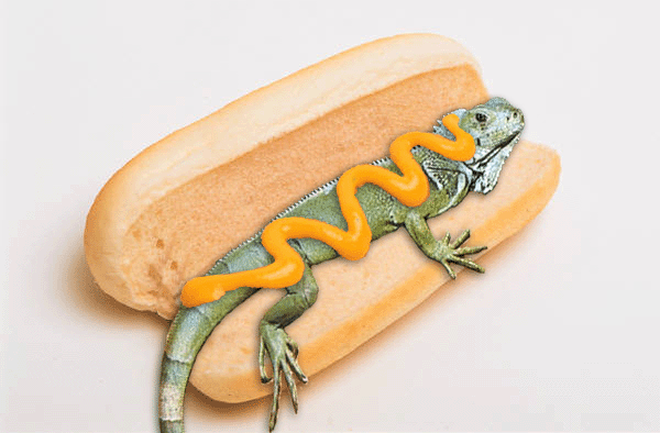 Photoshop Design by aquilesg for DesignCrowd (Community Contests) | Design #9115163