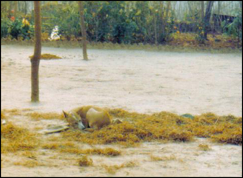 Photography by eye2eye for DesignCrowd (Community Contests) | Design #9115784