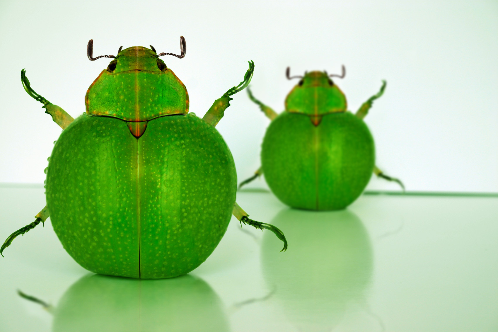 Photoshop Design by Eizzo6 for DesignCrowd (Community Contests) | Design #9115084