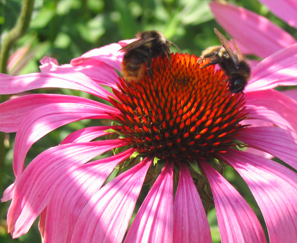 Photography by Johnny5 for DesignCrowd (Community Contests) | Design #9115427