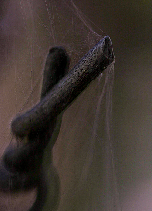 Fotografie von rwolosyn für DesignCrowd (Community Contests) | Design #9115385