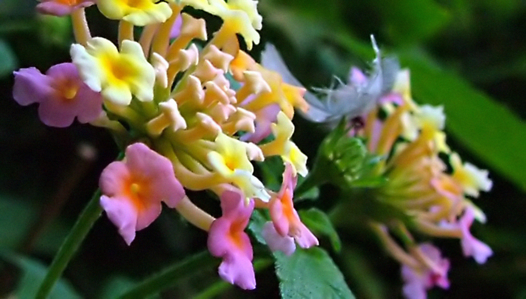 Photography by TalDelbari for DesignCrowd (Community Contests) | Design #9115545