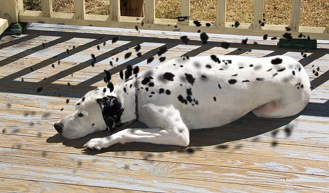 Design Photoshop par Papilapu pour DesignCrowd (Community Contests) | Design #9095864