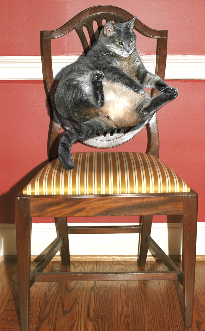 Diseño de Photoshop por blueorb para DesignCrowd (Community Contests) | Diseño #9095875