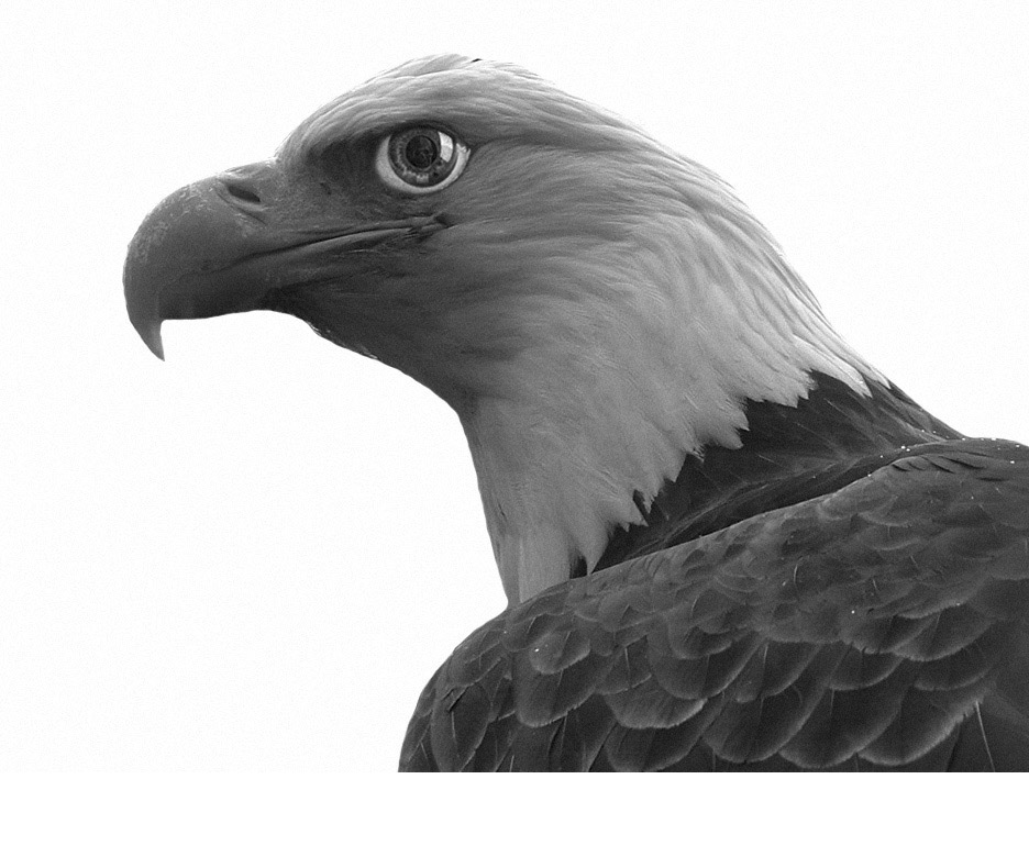 Photoshop-Design von Logoinvision für DesignCrowd (Community Contests) | Design #9111883