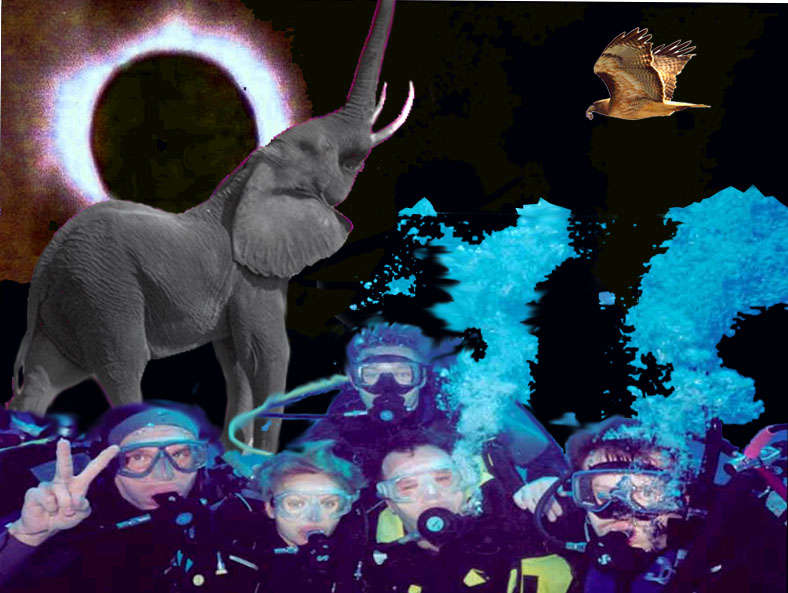 Photoshop Design by anshulr for DesignCrowd (Community Contests) | Design #9114183