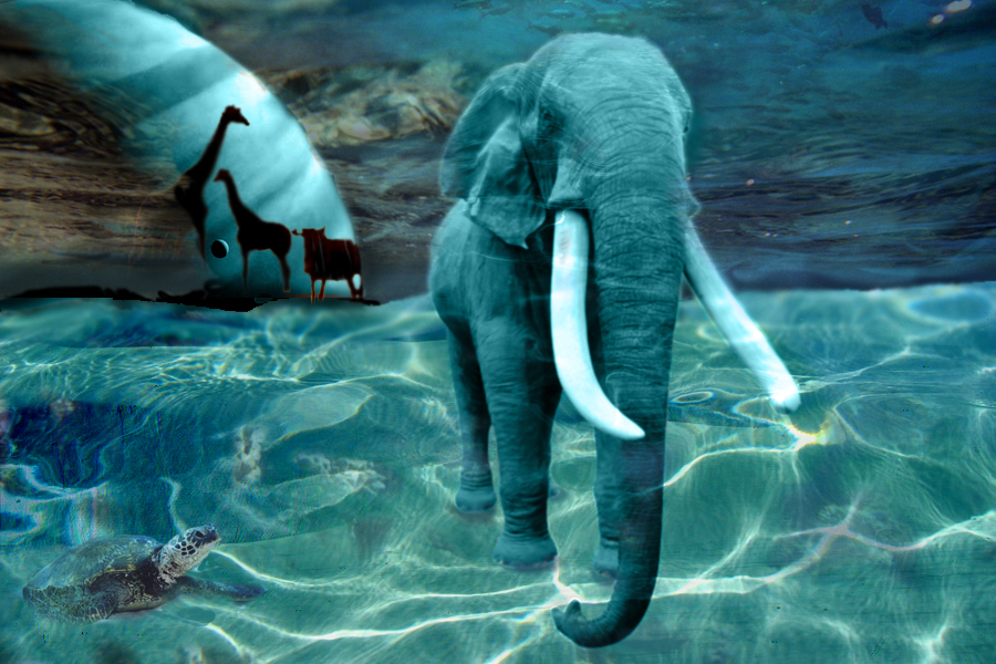 Diseño de Photoshop por liluna para DesignCrowd (Community Contests) | Diseño #9114187