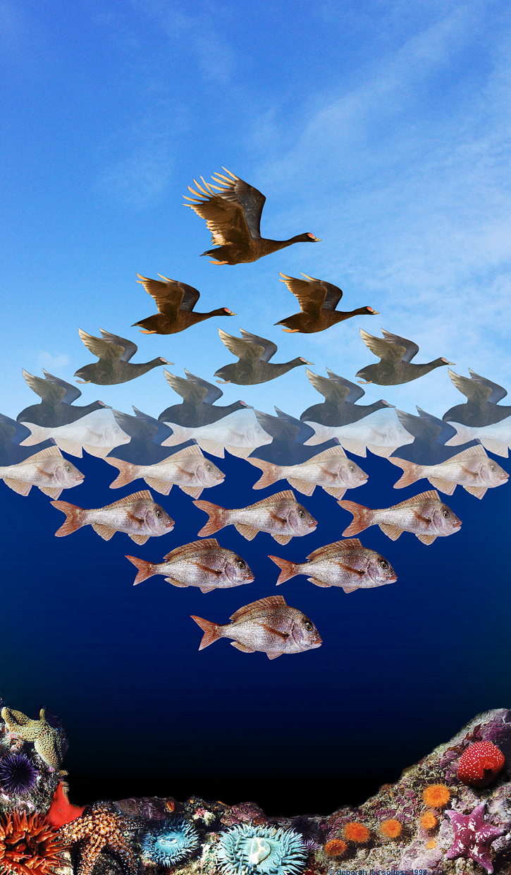 Design Photoshop par UNSUB1 pour DesignCrowd (Community Contests) | Design #9112013