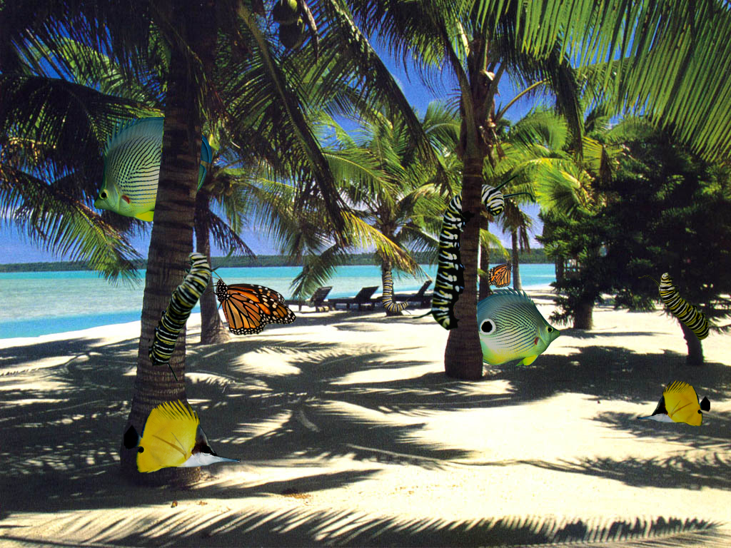 Photoshop Design by BrimCrimson for DesignCrowd (Community Contests) | Design #9114226