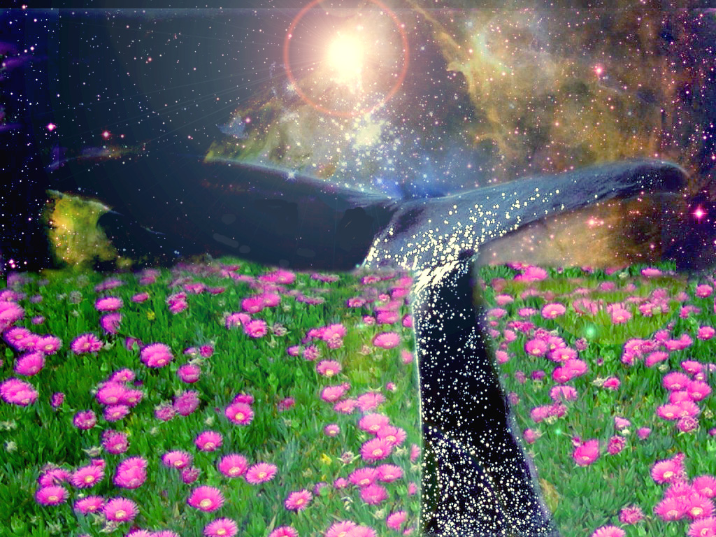 Photoshop Design by Groovygal for DesignCrowd (Community Contests) | Design #9114332