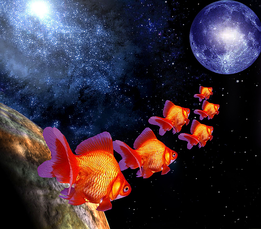 Photoshop Design by robayer for DesignCrowd (Community Contests) | Design #9114265