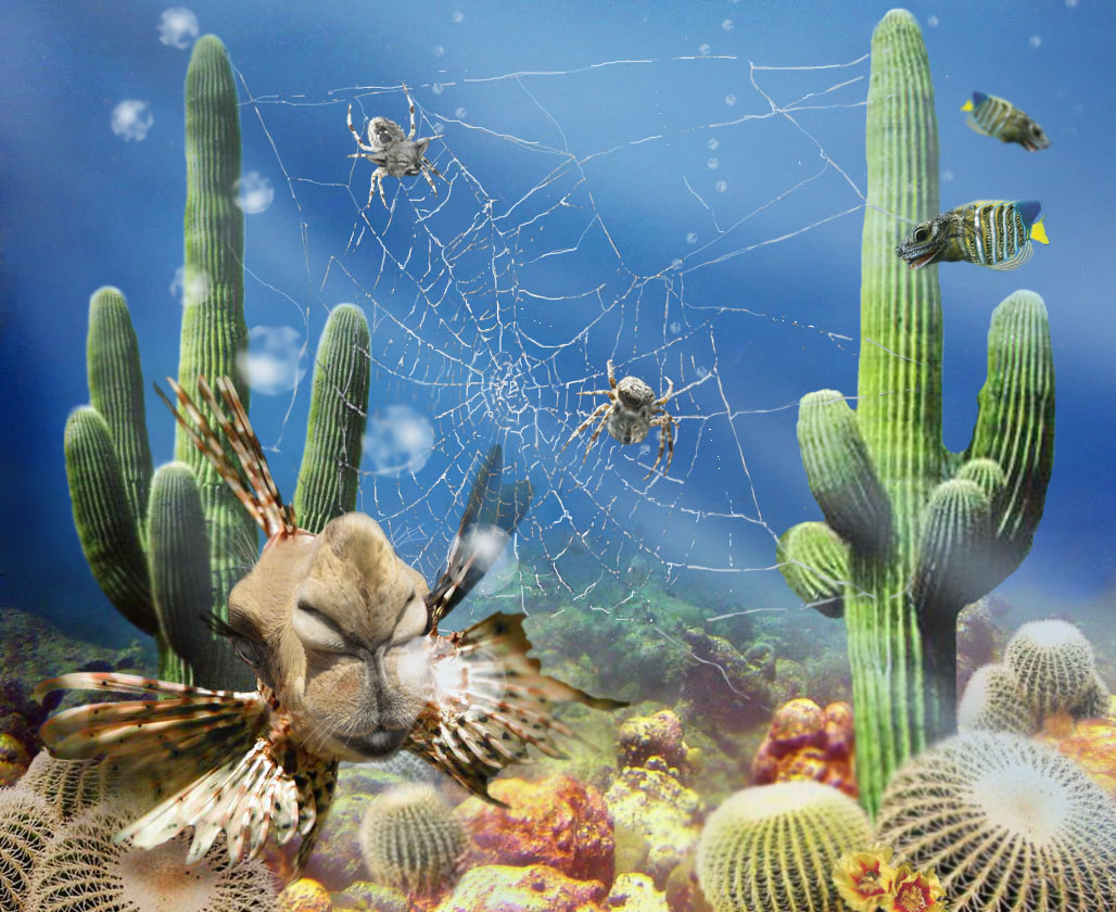 Diseño de Photoshop por cristielayne para DesignCrowd (Community Contests) | Diseño #9114279